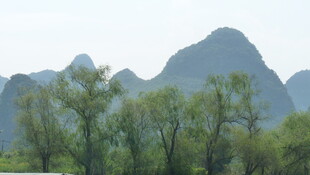 秀丽山峦与葱郁树木景观