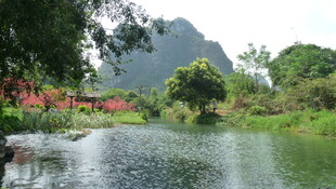湖畔青山绿树红花美景