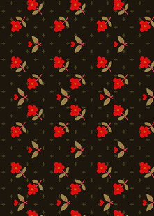 黑色底红色花朵图案