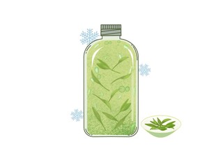 玻璃瓶中的清新绿植