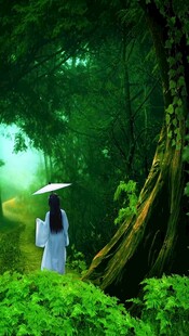 林中持伞女子的清幽之境