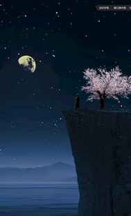 月夜崖边繁花绽放美景