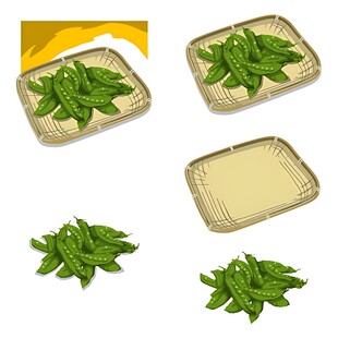 新鲜罗勒叶与空白托盘