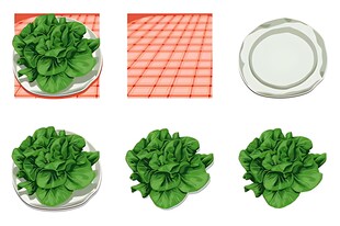 新鲜生菜多角度展示图