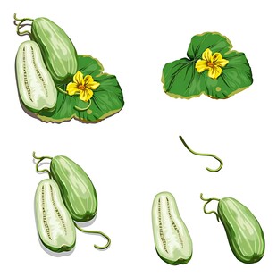 手绘清新黄瓜及花朵图案
