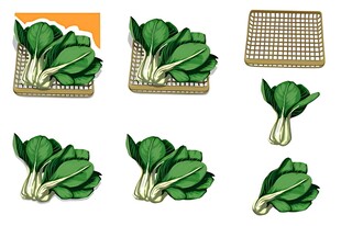 卡通青菜插画设计素材