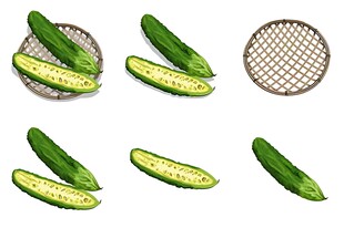 新鲜黄瓜切片与整根展示