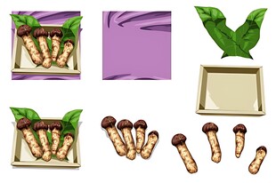 盒装虫草展示图