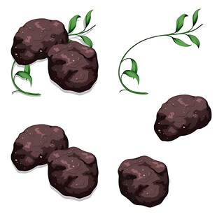 黑紫色果实及枝叶插画