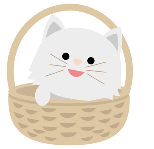 篮子里的可爱小白猫