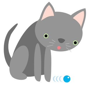 灰猫玩蓝色小球