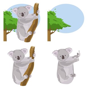 考拉在树上的不同姿态