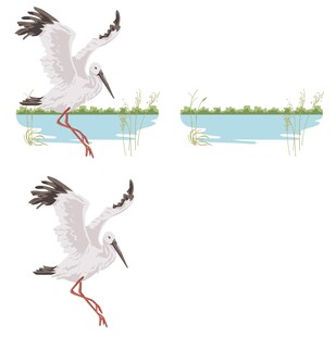 白鹳展翅于水边景观