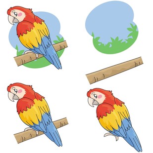 多彩鹦鹉栖息姿态插画
