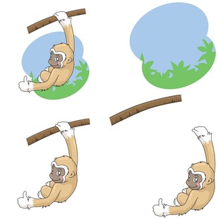 树懒挂树枝的可爱瞬间