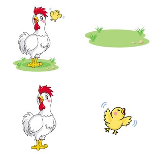 公鸡与小鸡的温馨场景