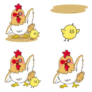 母鸡与小鸡的温馨互动