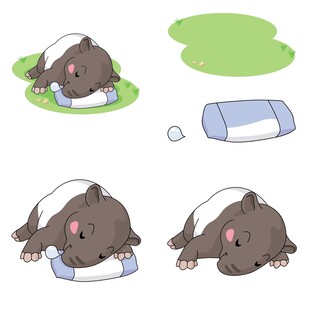 小狗惬意枕瓶休息画面