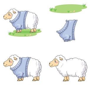 穿衣物绵羊的多样姿态