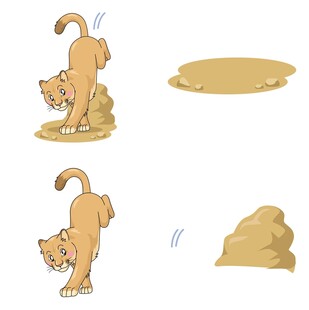 猫咪刨土埋便便瞬间