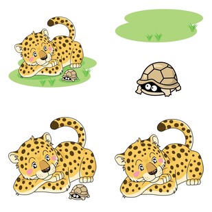 猎豹与乌龟的趣味场景