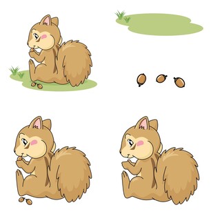 可爱松鼠的不同姿态