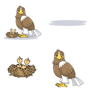 老鹰与幼崽的温馨场景