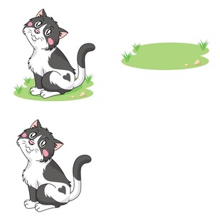 可爱黑白猫咪姿态展示