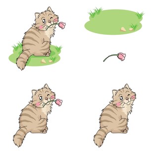 猫咪玩耍可爱瞬间