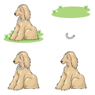 坐姿各异的可爱长毛犬