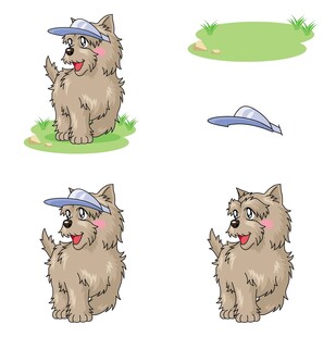 戴帽小狗的不同姿态展示