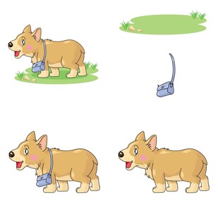 可爱小狗不同姿态展示