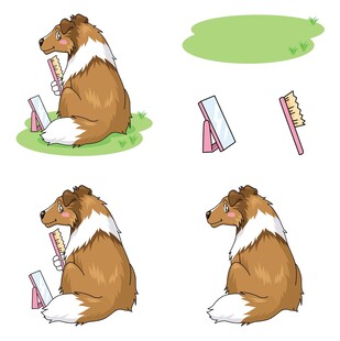 牧羊犬与物品的趣味场景