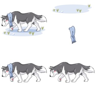 哈士奇行走动作分解图