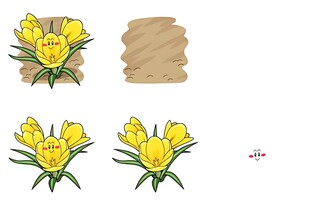 黄色花朵及纹理素材