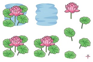 荷花荷叶水缸插画元素