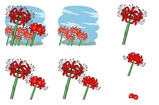 红色花卉插画素材