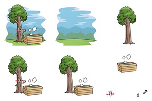 树木生长过程动画图示