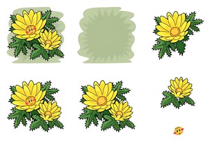 黄色菊花花卉图案集合