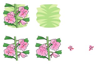 粉色花卉与绿叶插画元素