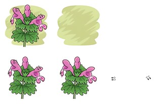 花卉绘画步骤展示