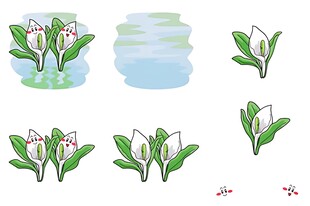 手绘绿植花卉插画元素