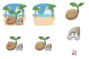 椰子发芽生长的趣味过程