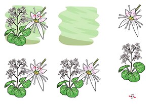 手绘绿植花卉图案集合