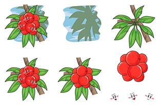 手绘风红色果实植物插画