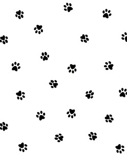 黑白动物爪印图案背景