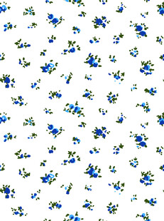 蓝白碎花图案