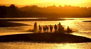 夕阳下河畔的欢乐人群