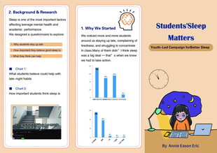 学生学习策略与数据展示