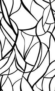 黑白线条抽象艺术图案